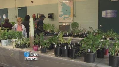 Annual plant sale