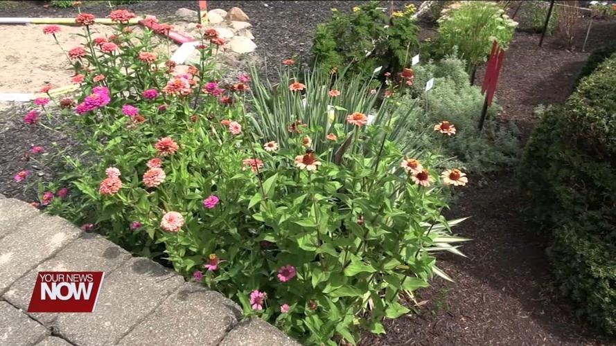 Brown Bag Series ends the season all abuzz about bees