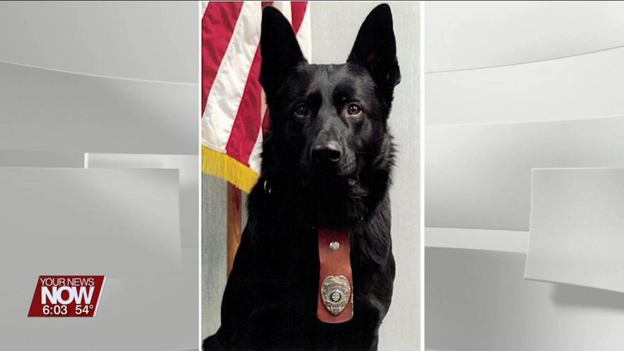 Law Enforcement and Residents Say Final Goodbyes to Retired Wapakoneta Police Department K-9 Rico