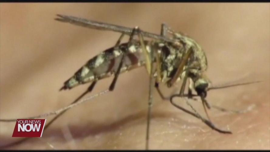 Watching out for ticks and mosquitoes this summer
