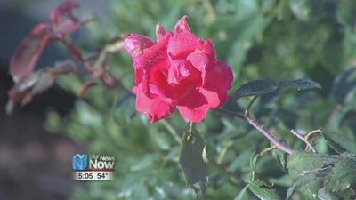 Lima Garden Club regional meeting