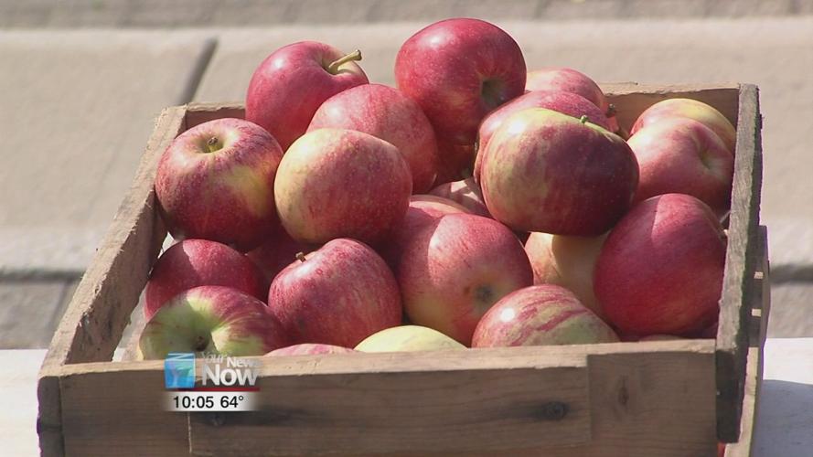 Fall season brings new produce to Downtown Lima Farmers' Market