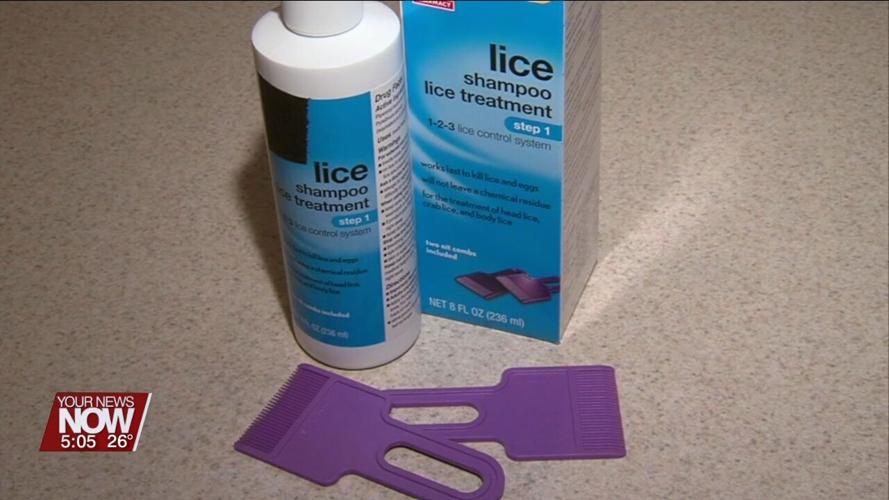 What to do if your child gets lice at school