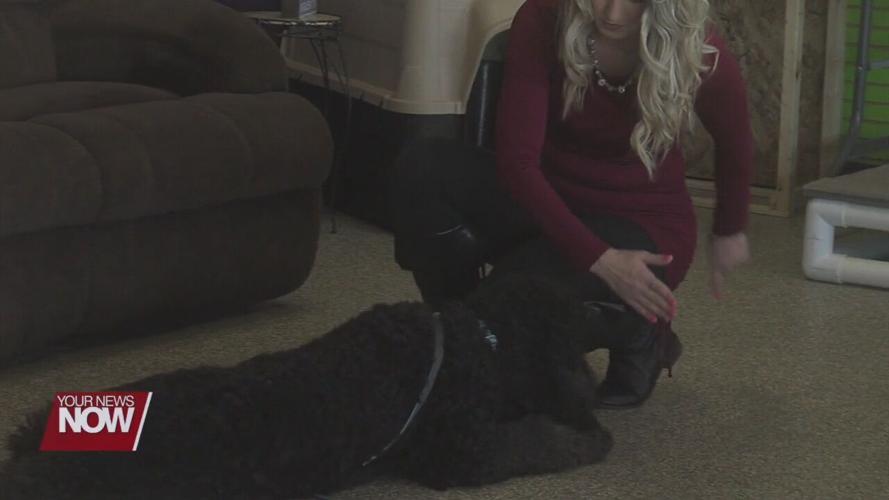 Doggy Daycare branches out to help those in need in a major way