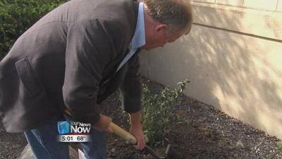 Tree Planting to Honor Domestic Violence Victims