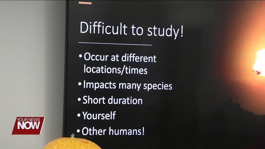 How do animals react to the eclipse