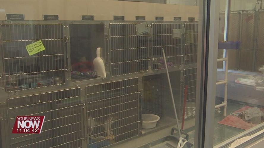 SPCA asking for donations for their upcoming fundraiser