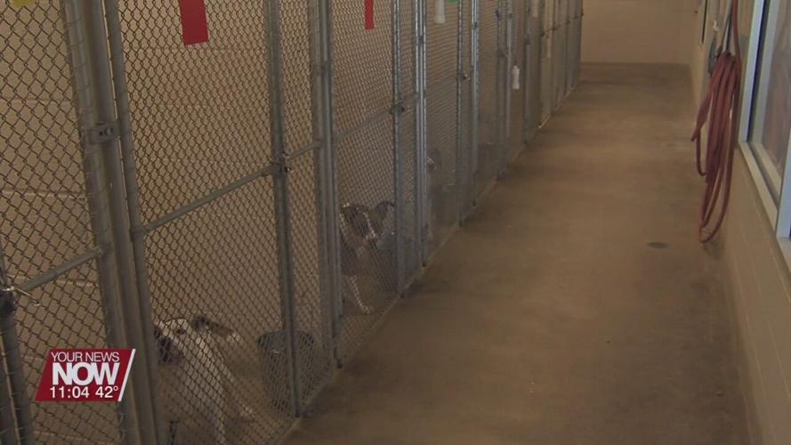 SPCA asking for donations for their upcoming fundraiser