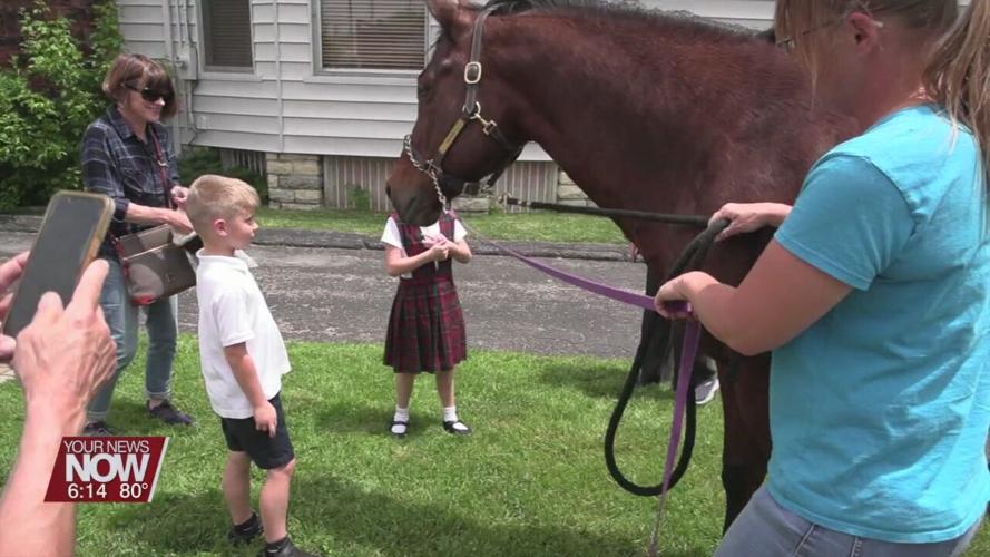 Lima Literacy Council gets a visit from "Mocha" the horse to promote a new program at The Equestrian Therapy Program