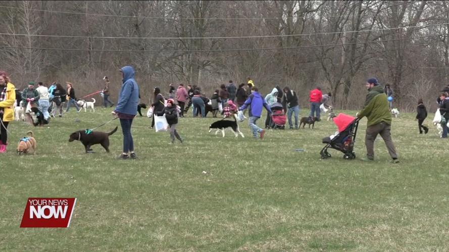 Dogs get their own Easter egg hunt at Ohio SPCA and Humane Society