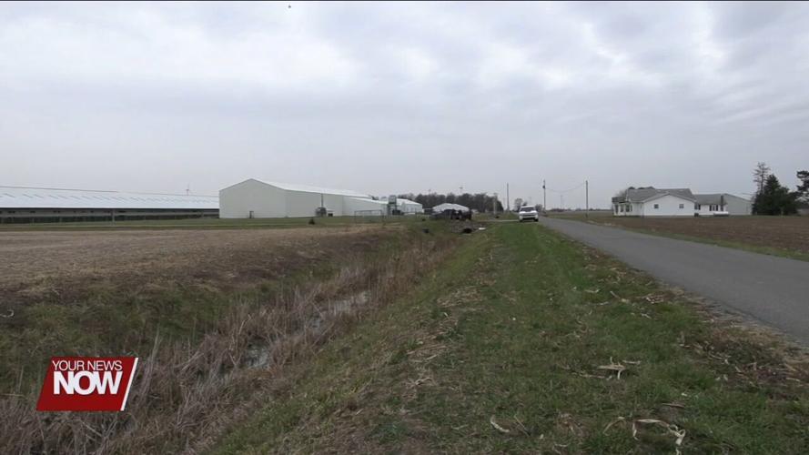 Animal Liberation Front claims responsibility for mink farm vandalization in Van Wert