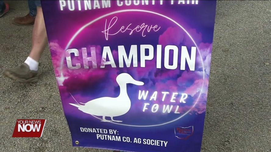 Hard work comes to fruition for Junior Fair in the Putnam County Fair Livestock Auction