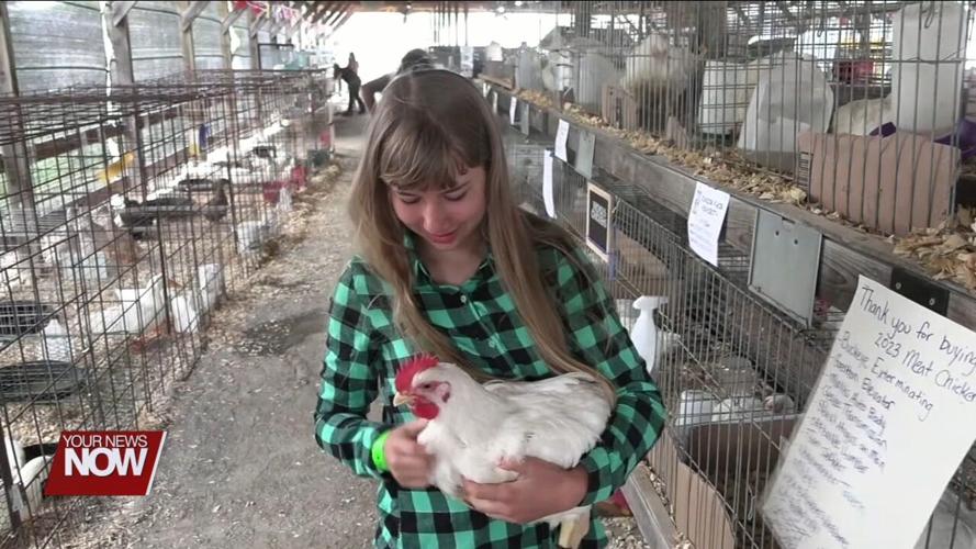 Hard work comes to fruition for Junior Fair in the Putnam County Fair Livestock Auction