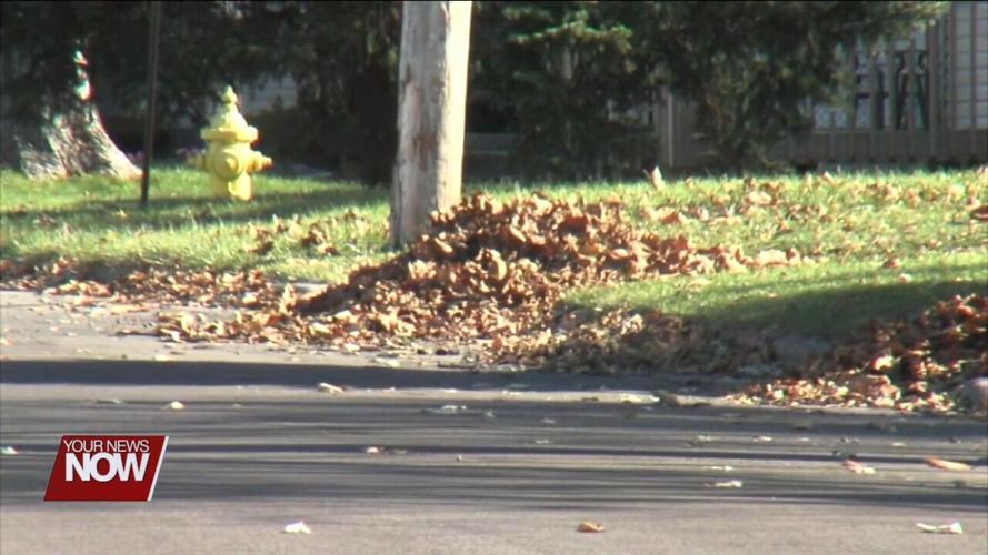 Leaf pickup for the City of Lima will begin on November 14th