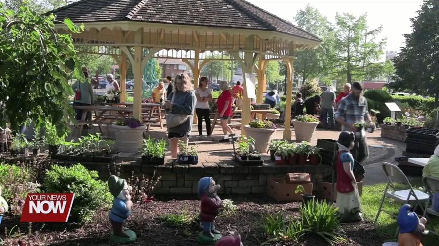 Area gardeners get some new plants thanks to annual fundraising sale