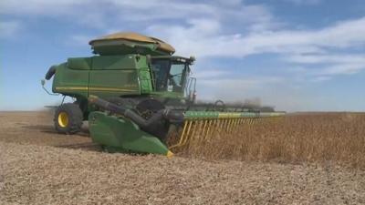 Soybean tariffs would hurt Ohio's economy