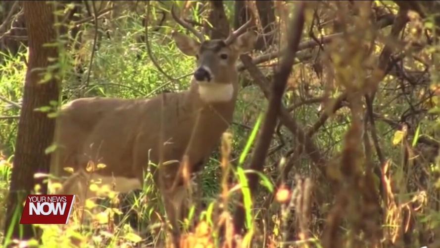 9,515 deer harvested during youth weekend according to ODNR