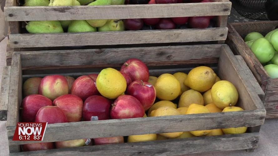 Vendors offering a variety goods at the Downtown Lima Farmers Market