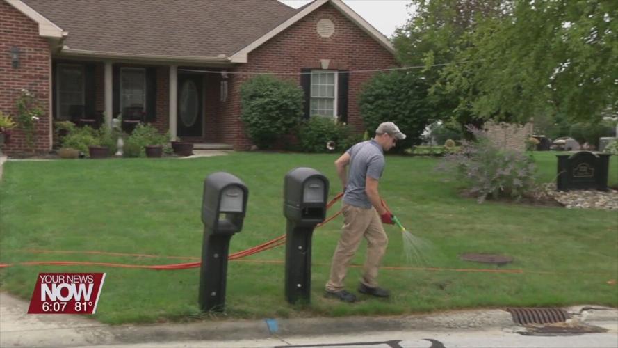 Fall armyworms causing lawn problems in the area
