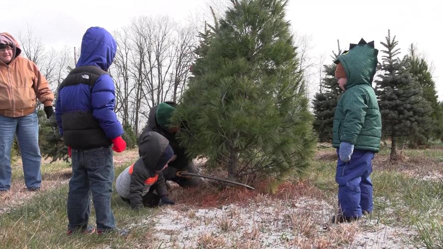 Kaleidoscope Farms welcomes crowds for "Green Friday"