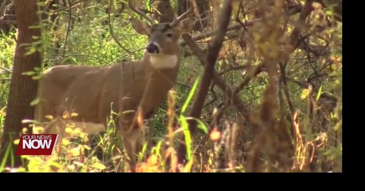 Over 10,000 deer harvested during youth hunting weekend News