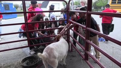 Lima fourth graders explore agriculture at Farm Day