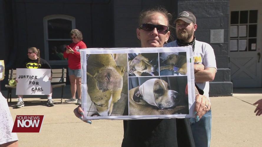 Animal cruelty charge sparks questions about Ohio's laws on animal abuse |  News 