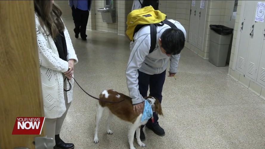Therapy dog named Hope boosts morale at Lima Central Catholic High School