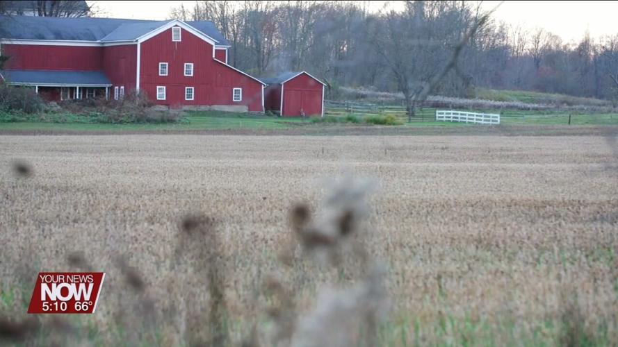 How Rural Living Can Impact Brain Health