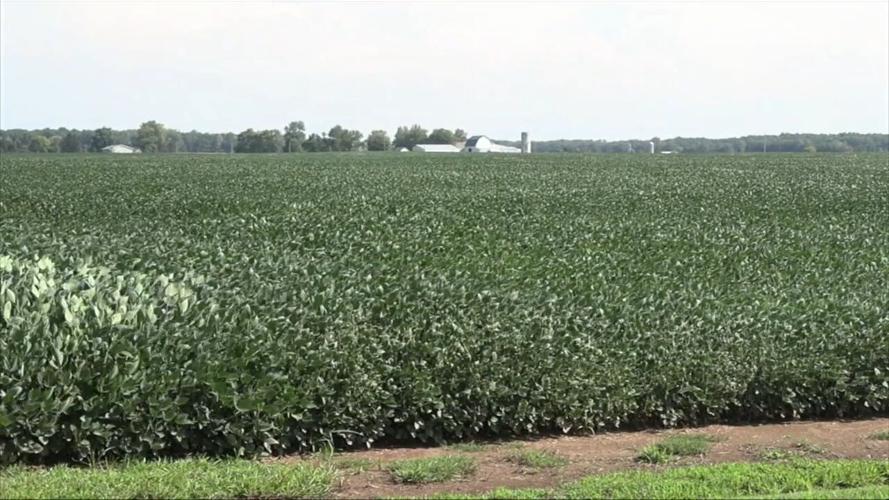 Inflation creating challenges for area farmers