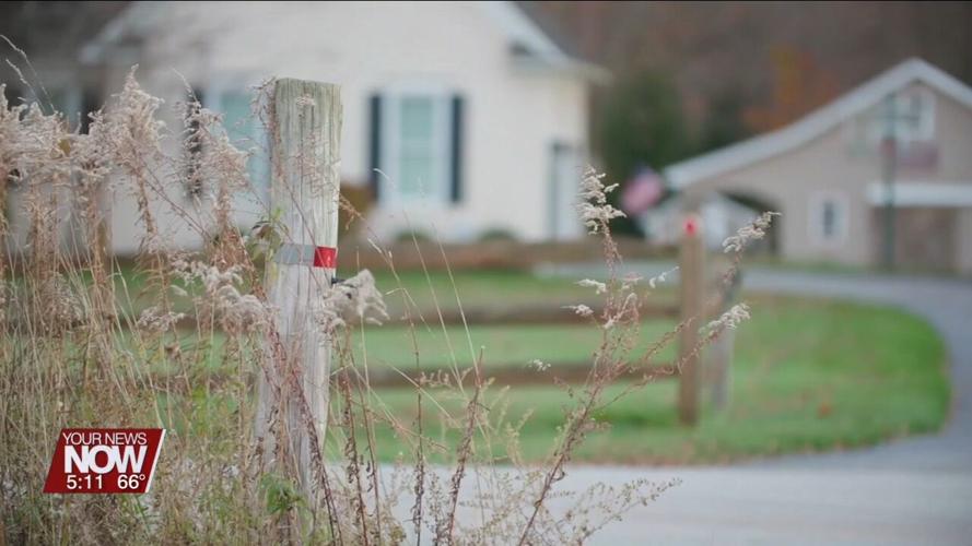 How Rural Living Can Impact Brain Health