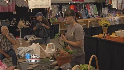 Demonstrations at the Allen County Fair