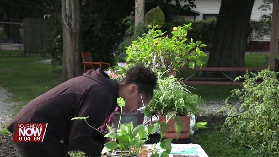 Activate Allen County invites public to fruit and vegetable plant swap on May 18th