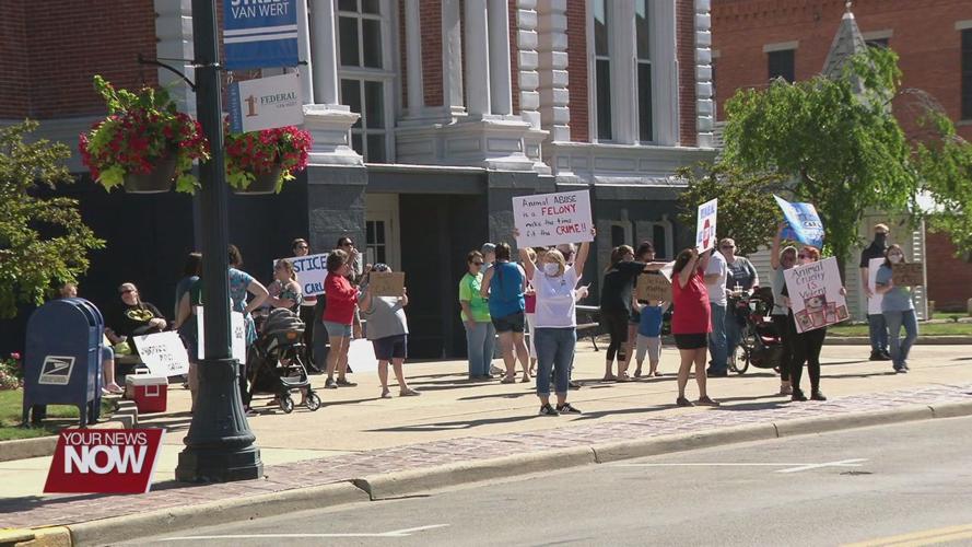 Animal cruelty charge sparks questions about Ohio's laws on animal abuse