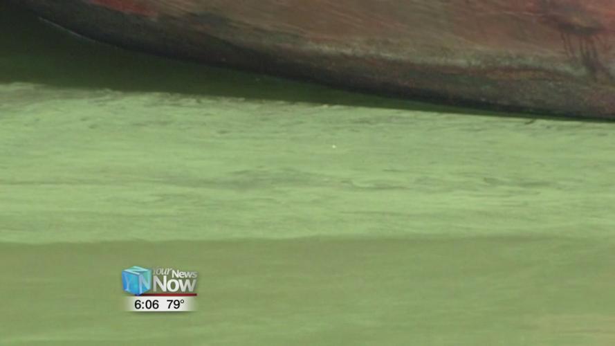 Keep an eye out for excessive algae when in or around water 1.jpg