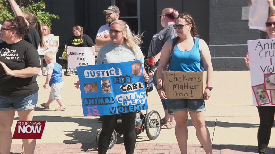 Animal cruelty charge sparks questions about Ohio's laws on animal abuse