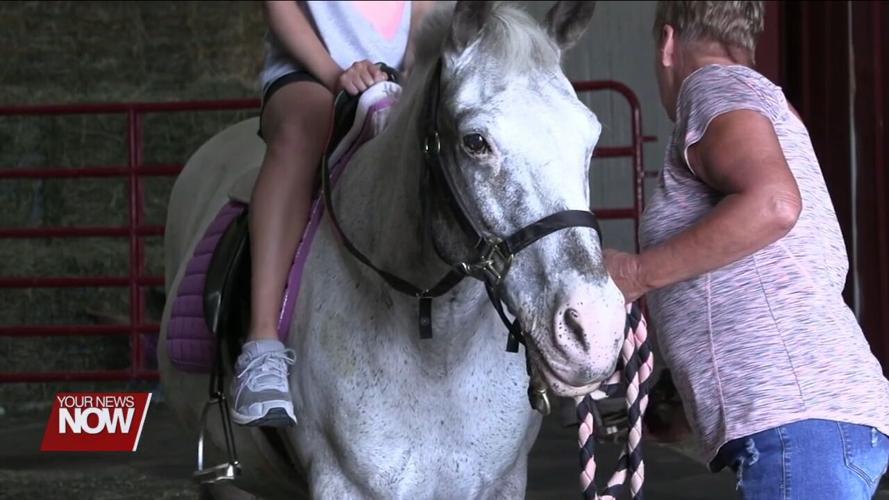 Horses and volunteers at Challenged Champions provide hope and smiles to those in need