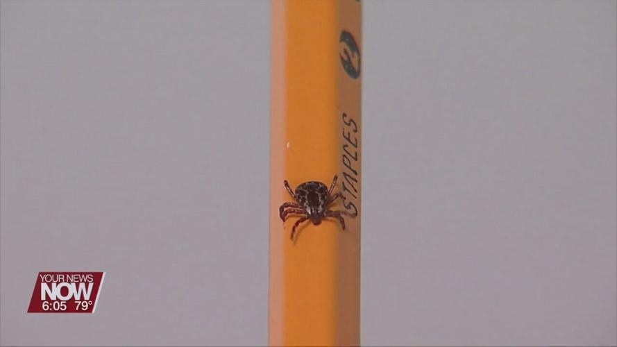 ODNR warns people about ticks when they go outdoors