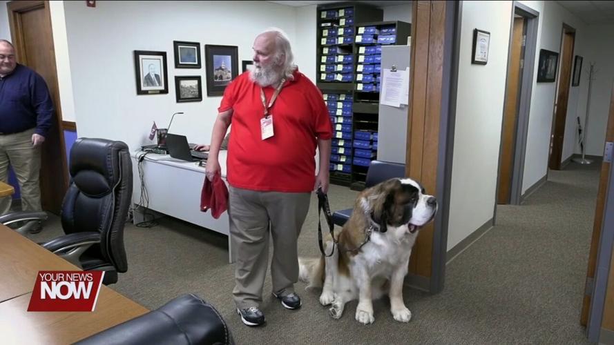 A 200 pound cuddly Saint Bernard brings smiles to the staff of the Allen County Commissioners building