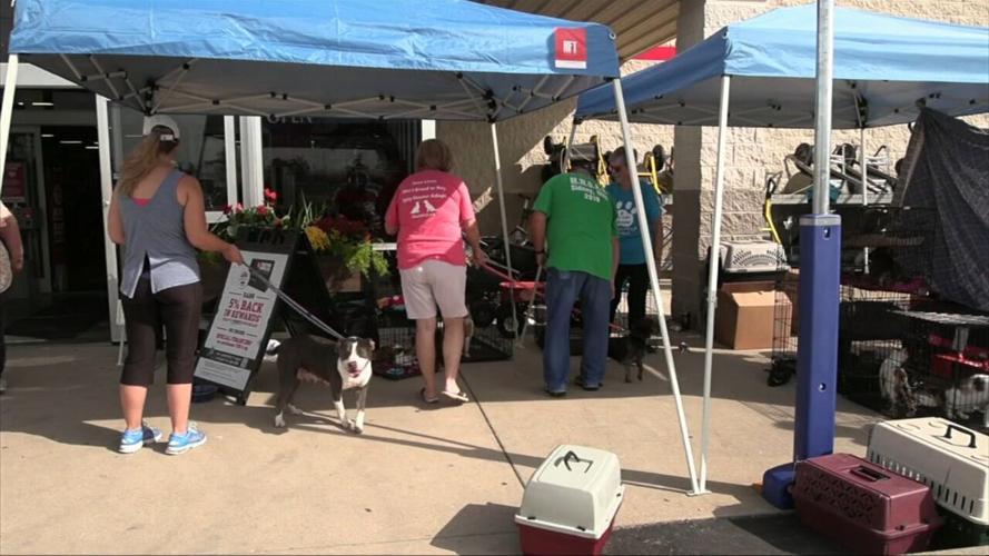 A Lotta Love Pet Rescue holds adoption event