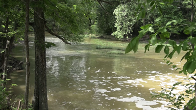 Ottawa River's recovery highlighted as environmental success story at Lima Rotary