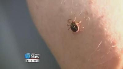 Watching out for Lyme Disease