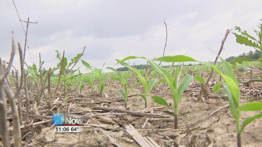 Farmers face new problems as they try to recover from last year's losses