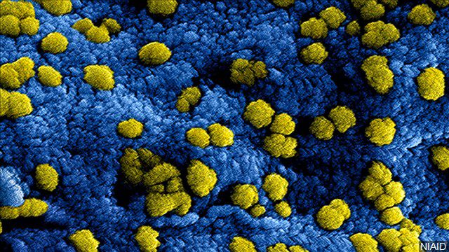 Coronavirus Microscope