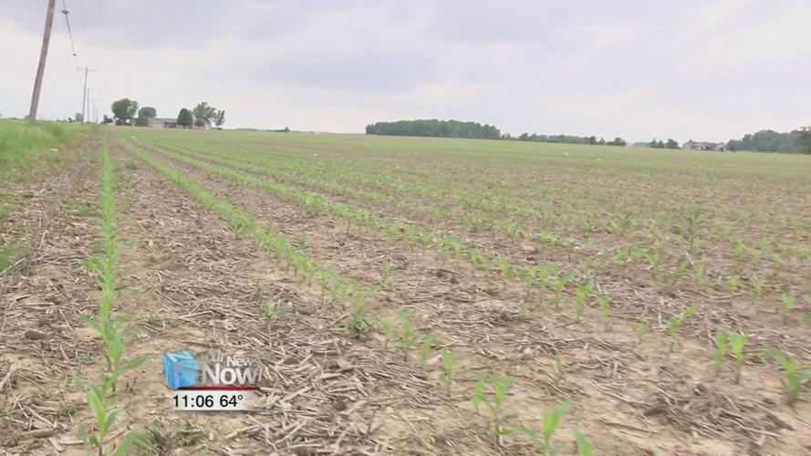 Farmers face new problems as they try to recover from last year's losses