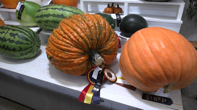 Agriculture and Fine Arts Building showcases generations of creativity at Allen County Fair