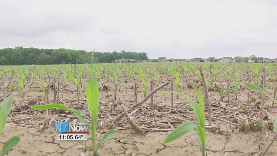 Farmers face new problems as they try to recover from last year's losses