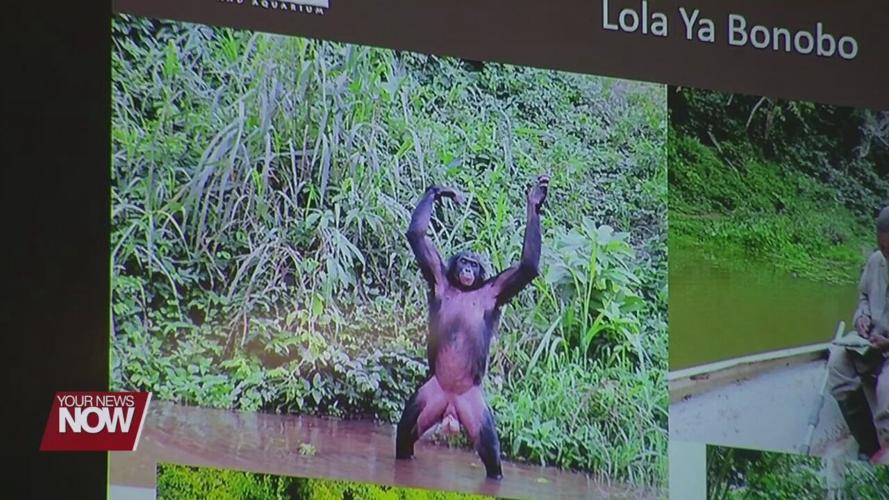 Lima Rotary Club hears about Columbus Zoo and Aquarium conservation projects