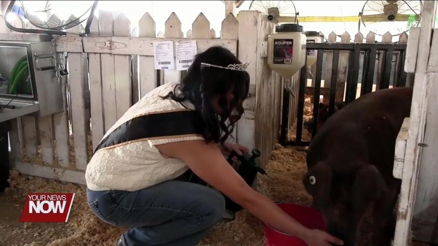 The Van Wert County Fairgrounds held their 168th Van Wert County Fair