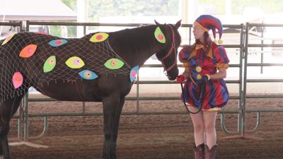 Allen County Fair horse and pony exhibitors show creativity in costume contest